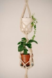Hanging Plant Décor